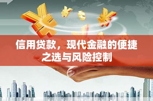 永年信用贷款，现代金融的便捷之选与风险控制