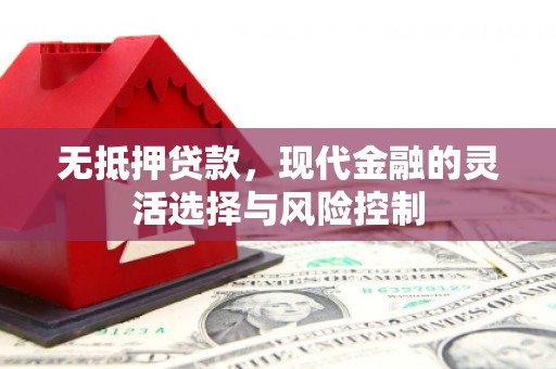 永年无抵押贷款，现代金融的灵活选择与风险控制