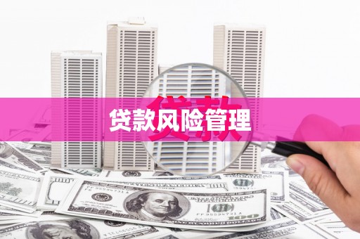 永年贷款风险管理