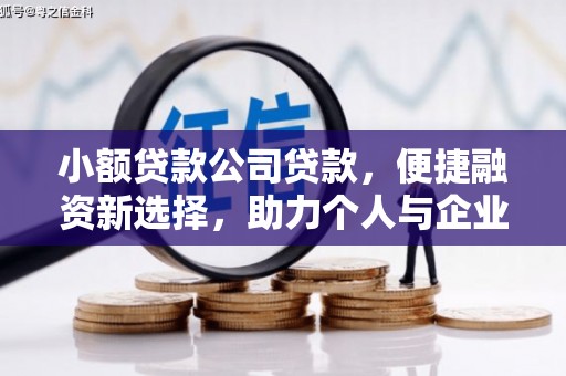 永年小额贷款公司贷款，便捷融资新选择，助力个人与企业成长