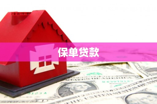 永年保单贷款