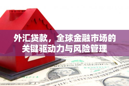 永年外汇贷款，全球金融市场的关键驱动力与风险管理