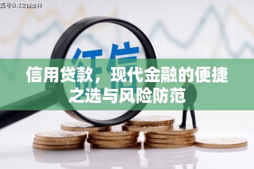 永年信用贷款，现代金融的便捷之选与风险防范