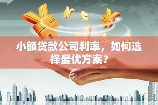 永年小额贷款公司利率，如何选择最优方案？