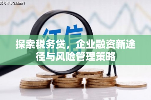 永年探索税务贷，企业融资新途径与风险管理策略
