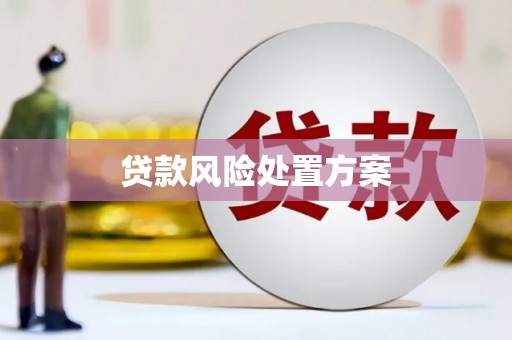 永年贷款风险处置方案