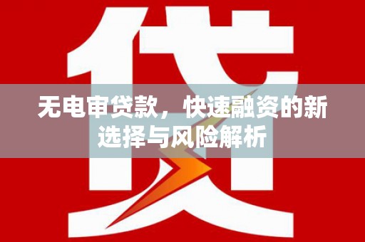 永年无电审贷款，快速融资的新选择与风险解析