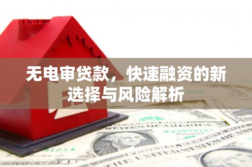 永年无电审贷款，快速融资的新选择与风险解析