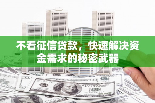 永年不看征信贷款，快速解决资金需求的秘密武器