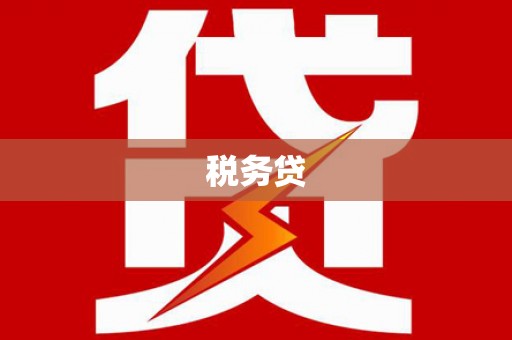永年税务贷