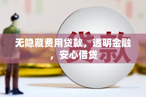 永年无隐藏费用贷款，透明金融，安心借贷