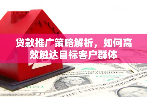 永年贷款推广策略解析，如何高效触达目标客户群体