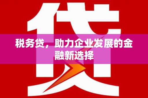 永年税务贷，助力企业发展的金融新选择