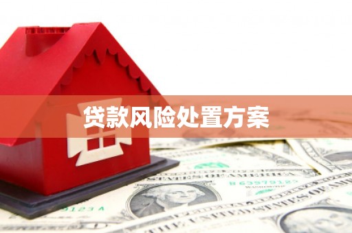 永年贷款风险处置方案