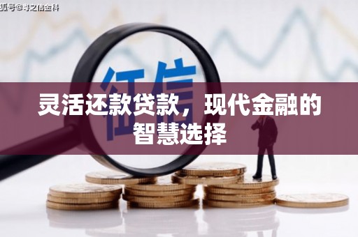 永年灵活还款贷款，现代金融的智慧选择