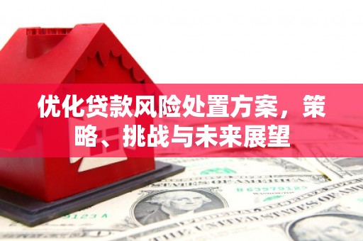 永年优化贷款风险处置方案，策略、挑战与未来展望