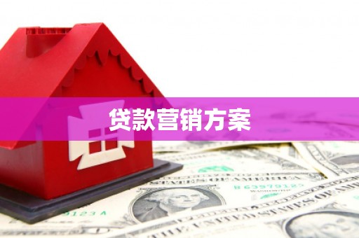 永年贷款营销方案