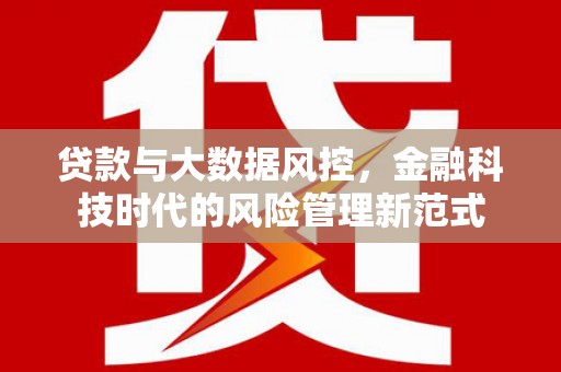 永年贷款与大数据风控，金融科技时代的风险管理新范式