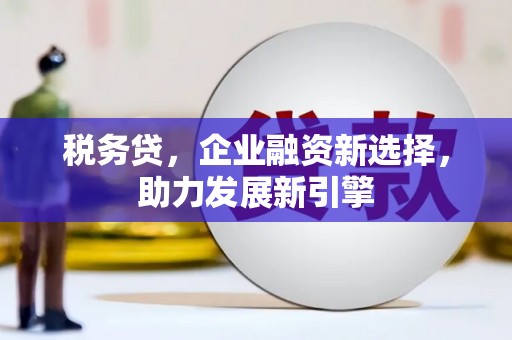 永年税务贷，企业融资新选择，助力发展新引擎