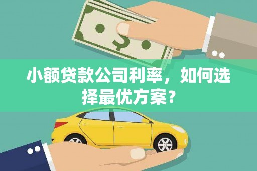 永年小额贷款公司利率，如何选择最优方案？
