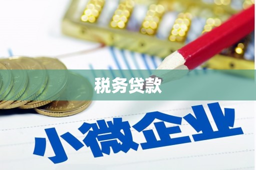 永年税务贷款
