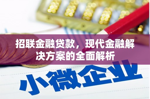 永年招联金融贷款，现代金融解决方案的全面解析