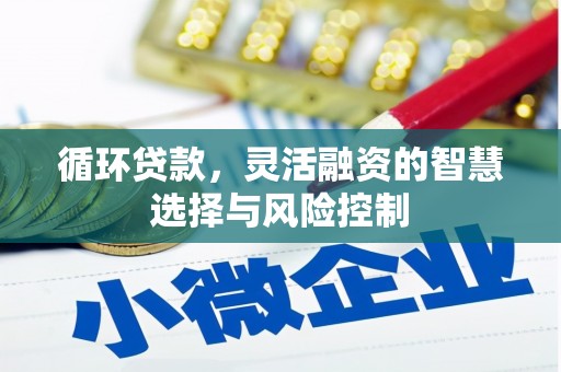 永年循环贷款，灵活融资的智慧选择与风险控制
