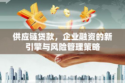 永年供应链贷款，企业融资的新引擎与风险管理策略