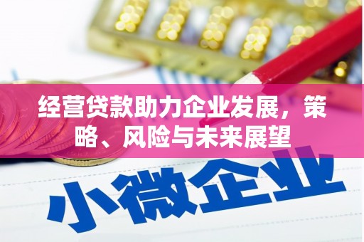 永年经营贷款助力企业发展，策略、风险与未来展望