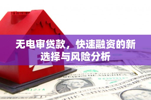 永年无电审贷款，快速融资的新选择与风险分析