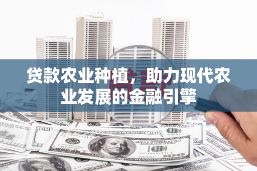 永年贷款农业种植，助力现代农业发展的金融引擎