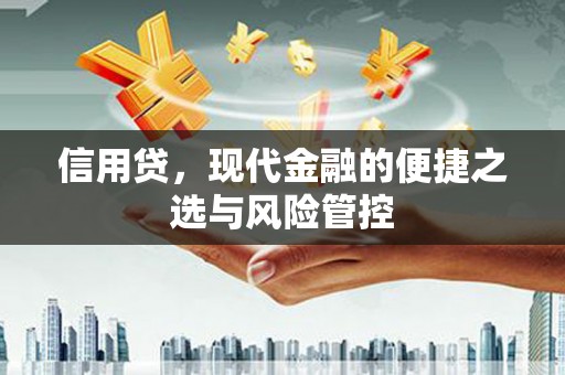 永年信用贷，现代金融的便捷之选与风险管控