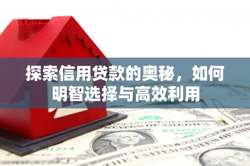 永年探索信用贷款的奥秘，如何明智选择与高效利用