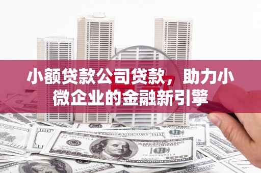 永年小额贷款公司贷款，助力小微企业的金融新引擎