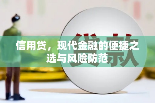 永年信用贷，现代金融的便捷之选与风险防范