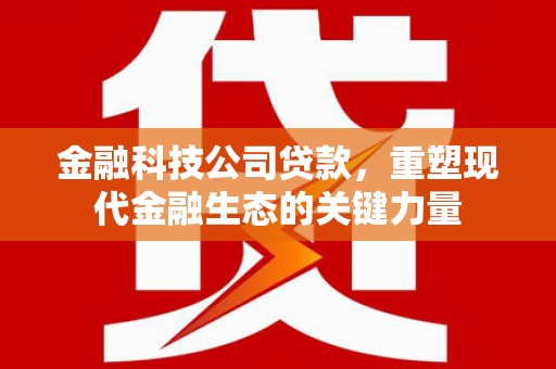 永年金融科技公司贷款，重塑现代金融生态的关键力量