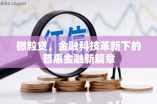 永年微粒贷，金融科技革新下的普惠金融新篇章