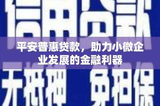 永年平安普惠贷款，助力小微企业发展的金融利器
