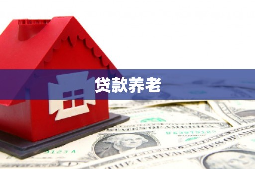 永年贷款养老