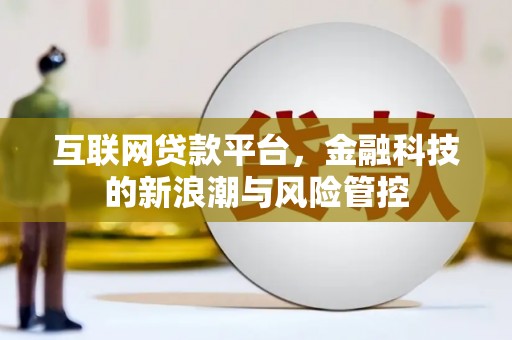 永年互联网贷款平台，金融科技的新浪潮与风险管控