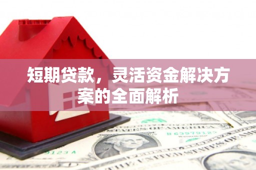 永年短期贷款，灵活资金解决方案的全面解析