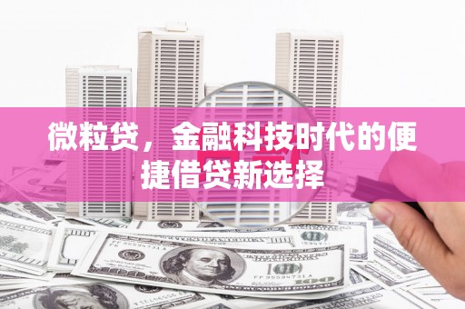 永年微粒贷，金融科技时代的便捷借贷新选择
