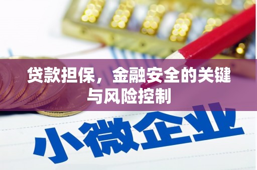 永年贷款担保，金融安全的关键与风险控制