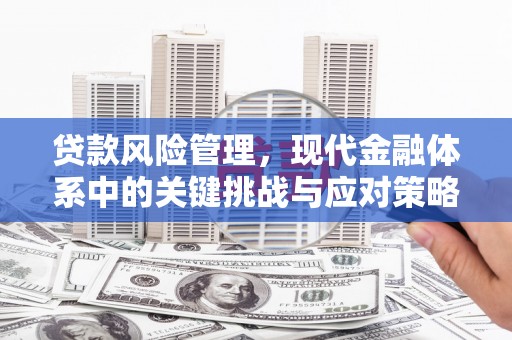 永年贷款风险管理，现代金融体系中的关键挑战与应对策略