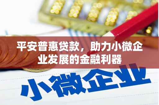 永年平安普惠贷款，助力小微企业发展的金融利器