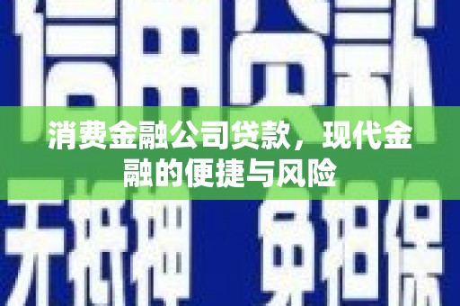 永年消费金融公司贷款，现代金融的便捷与风险