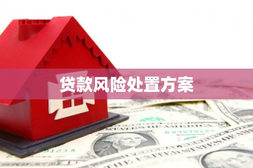 永年贷款风险处置方案