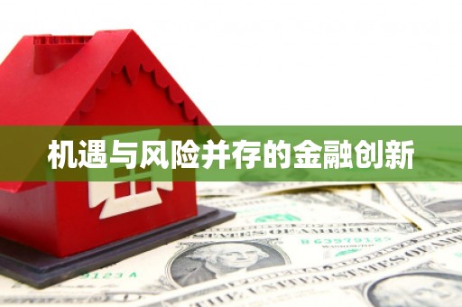 永年机遇与风险并存的金融创新