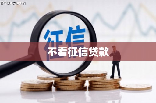 永年不看征信贷款