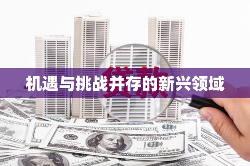 永年机遇与挑战并存的新兴领域